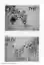 Fig. 02 - Method for preparing a water-compatible composition of metal oxide nanocrystals and the water-compatible composition obtained