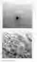 Fig. 05 - Method for preparing a water-compatible composition of metal oxide nanocrystals and the water-compatible composition obtained