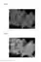Fig. 04 - CATALYST FOR REFORMING HYDROCARBON GAS, METHOD OF MANUFACTURING THE SAME, AND METHOD OF MANUFACTURING SYNTHESIZED GAS