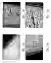 Fig. 13 - Electrolytic cell and electrochemical process using an electrode