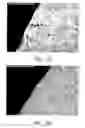 Fig. 14 - Electrolytic cell and electrochemical process using an electrode