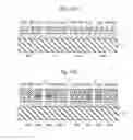 Fig. 20 - Semiconductor light emitting element
