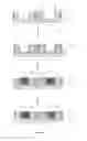 Fig. 12 - Multi-gate transistors