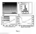 Fig. 03 - Black GE based on crystalline/amorphous core/shell nanoneedle arrays