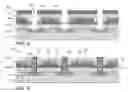 Fig. 04 - Ionizing radiation blocking in IC chip to reduce soft errors