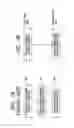 Fig. 08 - Electronic component manufacturing method including step of embedding metal film