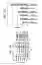 Fig. 13 - Electronic component manufacturing method including step of embedding metal film