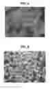 Fig. 03 - COMPOSITION FOR FILLING THROUGH SILICON VIA (TSV), TSV FILLING METHOD AND SUBSTRATE INCLUDING TSV PLUG FORMED OF THE COMPOSITION