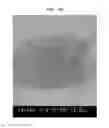 Fig. 97 - Printable composition of a liquid or gel suspension of diodes