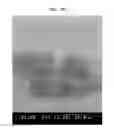 Fig. 98 - Printable composition of a liquid or gel suspension of diodes