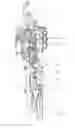 Fig. 02 - Method and apparatus for blow molding and for filling containers
