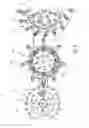 Fig. 07 - Method and apparatus for blow molding and for filling containers