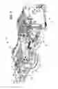 Fig. 10 - Media presenter