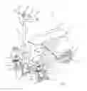 Fig. 02 - Knee walker