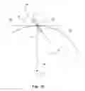 Fig. 08 - Wind power turbine combining a cross-flow rotor and a magnus rotor