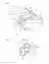 Fig. 03 - Drainage structure of weather strip