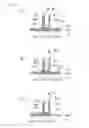 Fig. 13 - CHAIR