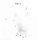 Fig. 02 - RECLINING APPARATUS