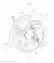 Fig. 01 - Internal motorized bicycle hub