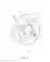 Fig. 02 - Internal motorized bicycle hub