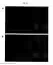 Fig. 20 - Replication of patterned thin-film structures for use in plasmonics and metamaterials