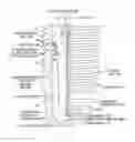 Fig. 01 - Spark plug comprising enhanced contamination-resisting and heat-resisting properties