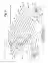 Fig. 11 - Transmission line array for explosive detection using nuclear quadrupole resonance