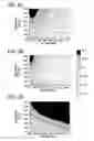 Fig. 05 - MAGNETIC RESONANCE IMAGING APPARATUS AND METHOD