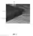 Fig. 02 - DRY GEL-CONDUCTIVE SCAFFOLD SENSOR