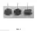 Fig. 04 - DRY GEL-CONDUCTIVE SCAFFOLD SENSOR