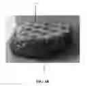Fig. 06 - DRY GEL-CONDUCTIVE SCAFFOLD SENSOR