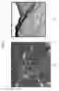 Fig. 02 - Tactile presentation apparatus, tactile cell, and method for controlling tactile presentation apparatus