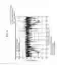 Fig. 04 - APPARATUS AND METHOD FOR ESTIMATING DIRECTION OF ARRIVAL OF SIGNAL IN COMMUNICATION SYSTEM
