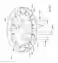 Fig. 54 - Joystick