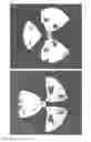 Fig. 66 - Joystick