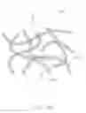Fig. 25 - TOUCH PEN