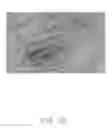 Fig. 14 - TOUCH PEN