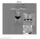Fig. 07 - Apparatus and method for generating digital clone