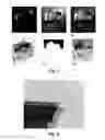 Fig. 06 - Method for dynamic range editing