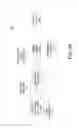 Fig. 04 - System level graphics manipulations on protected content