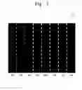 Fig. 08 - Method of controlling backlight device and display apparatus using the same