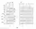 Fig. 01 - Display panel with improving display quality