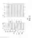 Fig. 03 - Display panel with improving display quality