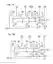 Fig. 08 - Driving method of field sequential liquid crystal display device