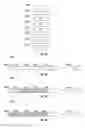 Fig. 11 - Gray scale drive sequences for pulse width modulated displays
