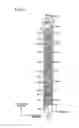 Fig. 03 - Liquid ejection apparatus and storage medium storing program