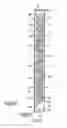 Fig. 03 - Liquid ejection apparatus