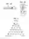 Fig. 03 - Piezoelectric material, piezoelectric device, liquid discharge head, and ultrasonic motor
