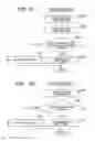 Fig. 12 - IMAGE FORMING APPARATUS