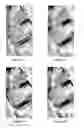 Fig. 08 - Wide field image distortion correction
